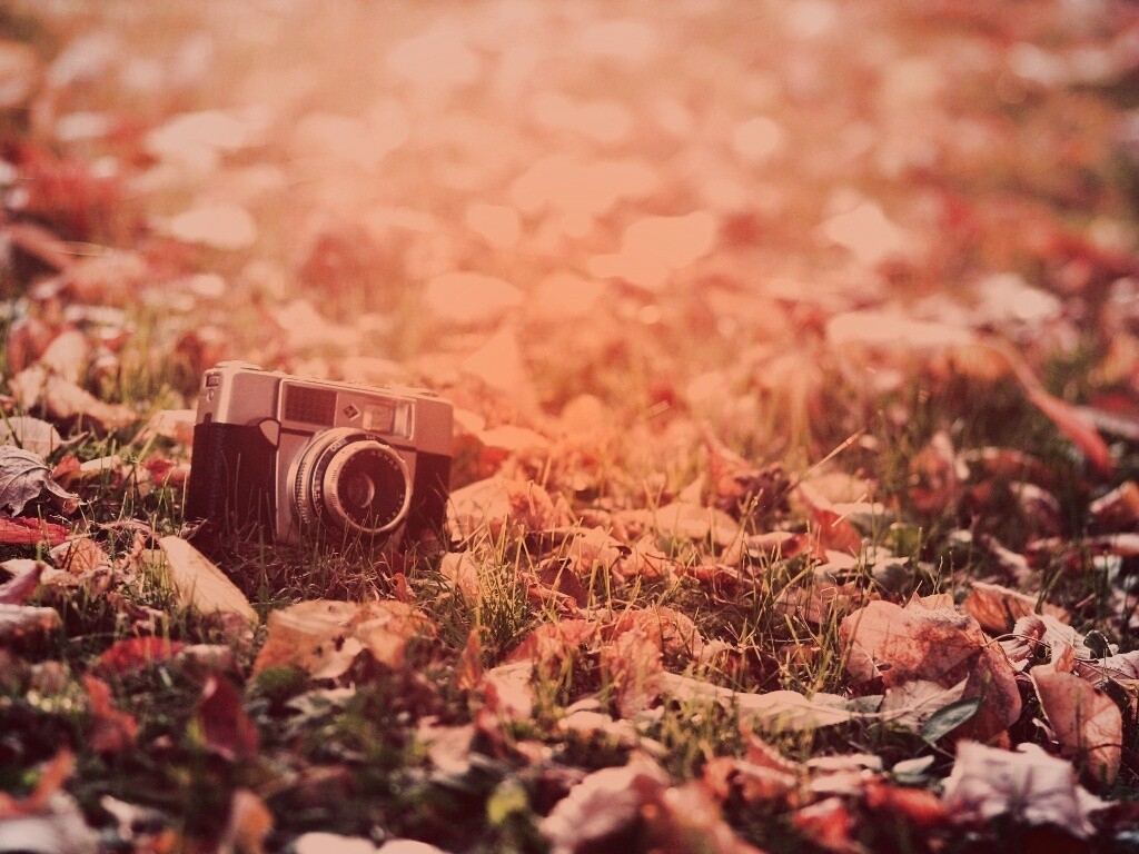 Старый фотоаппарат в траве обои
