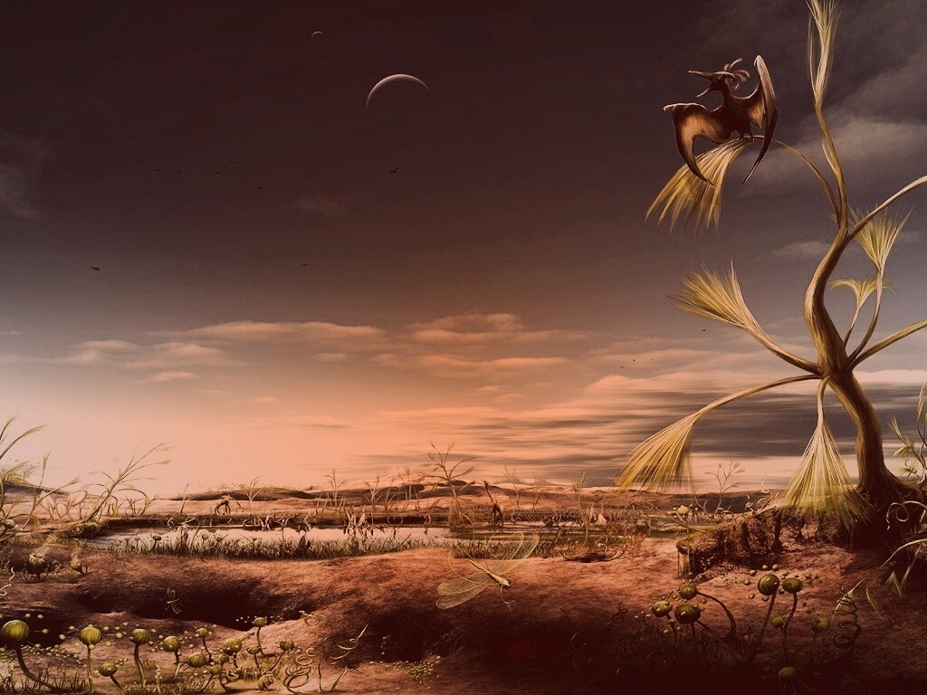 Флора и фауна другой планеты обои