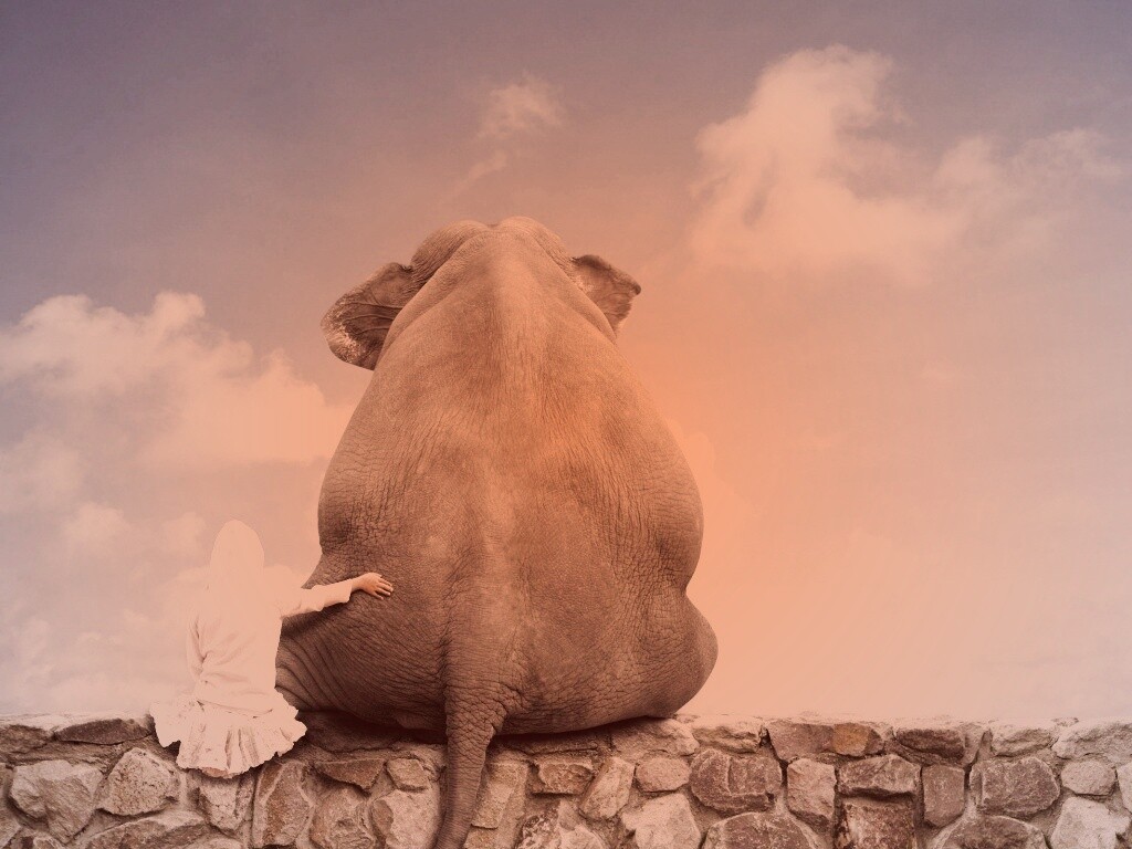 Девочка и слон обои