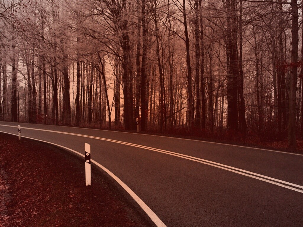 Дорога в осеннем лесу обои