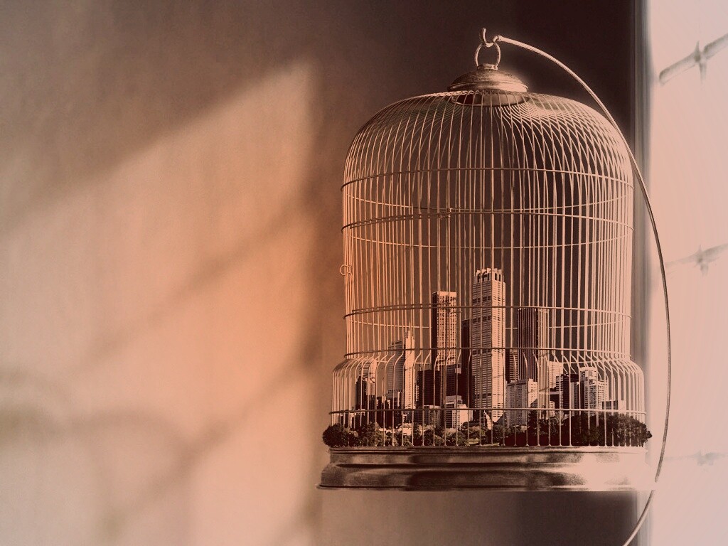 Город в клетке обои