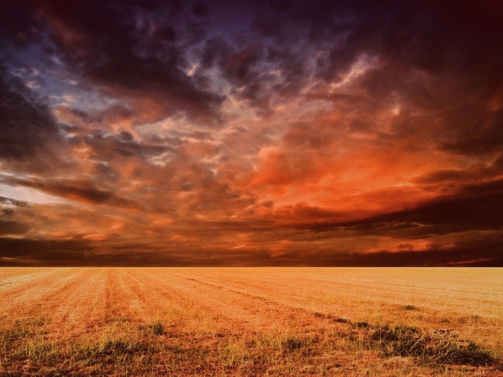 Тучи над желтым полем обои