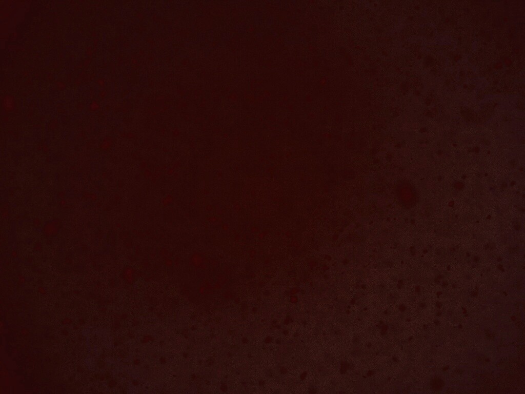 Черные пятна на сером фоне обои