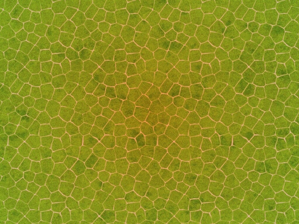 Зелёные сегменты обои