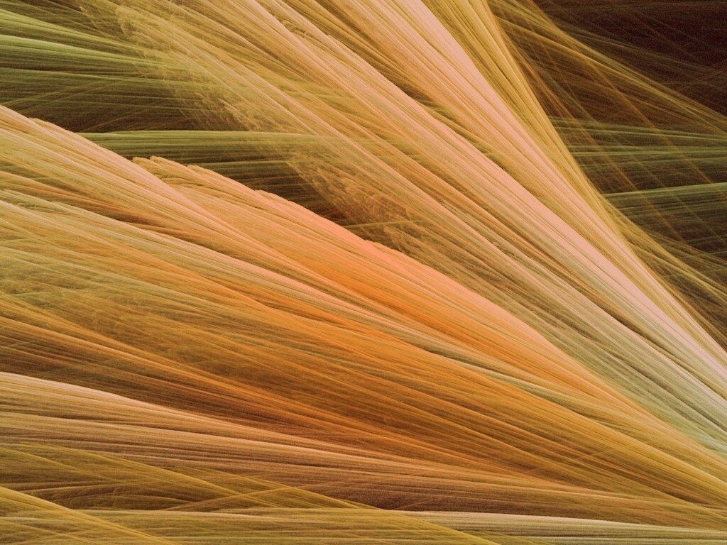 Прозрачные зеленоватые крылья обои