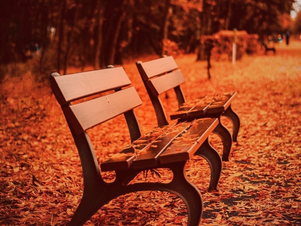 Лавочки в осеннем парке обои