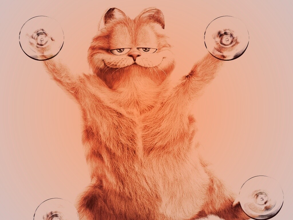 Рыжий проказник обои