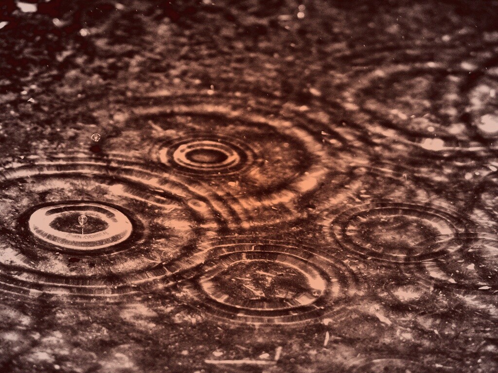 Круги на воде обои