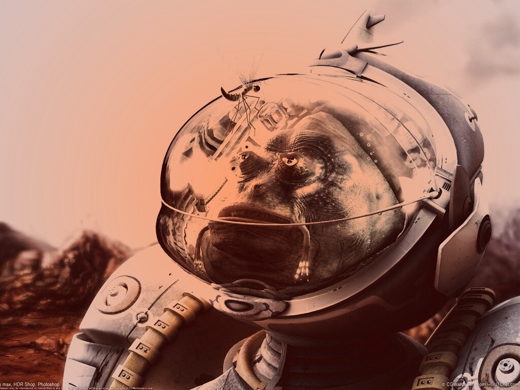 Инопланетянин и стрекоза обои