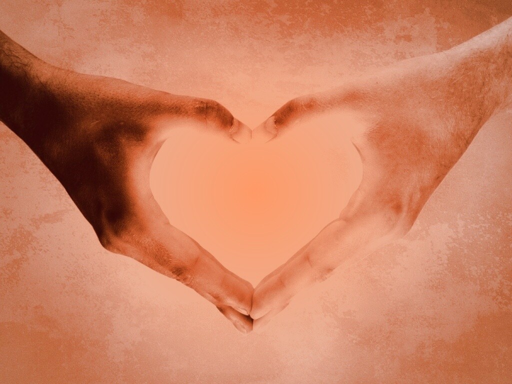 Сердце из сложенных рук обои