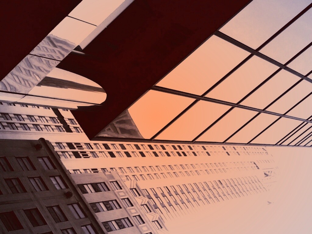 Взгляд вверх обои