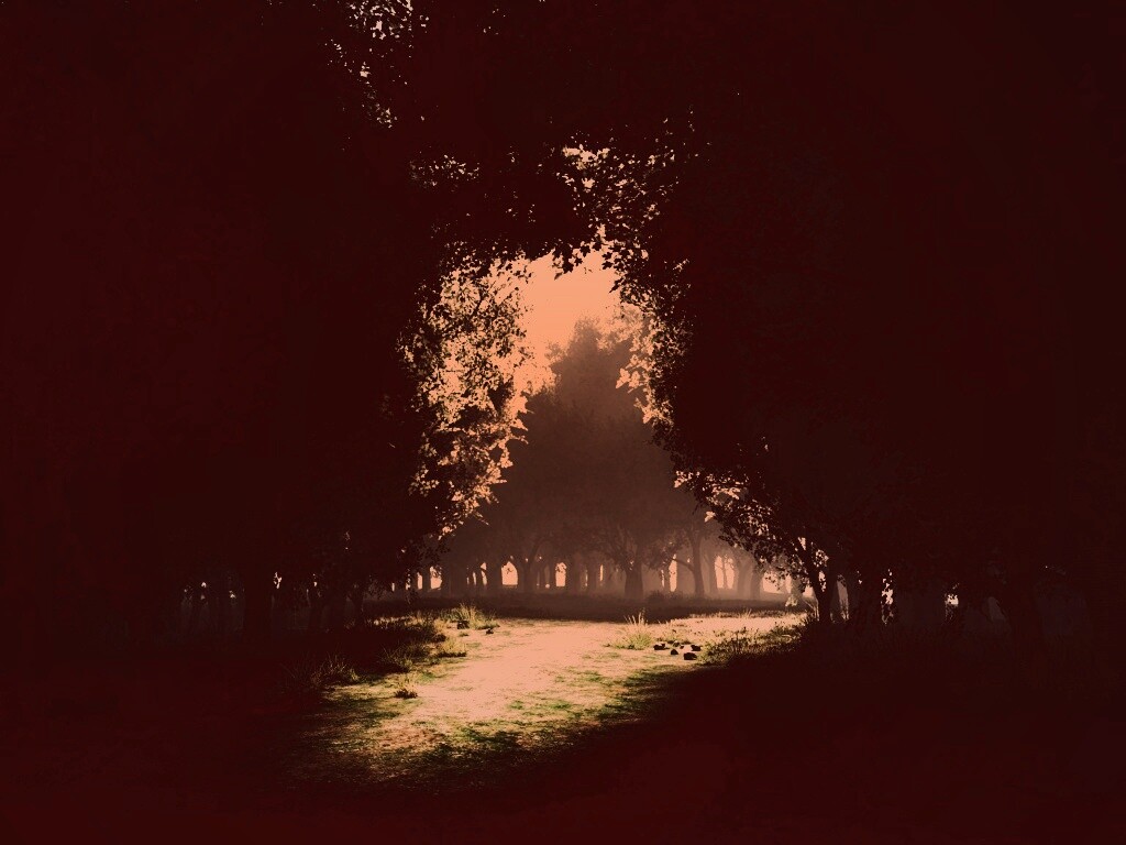 Сумерки в волшебном лесу обои