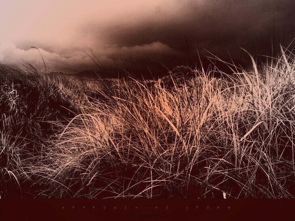 В ожидании шторма обои