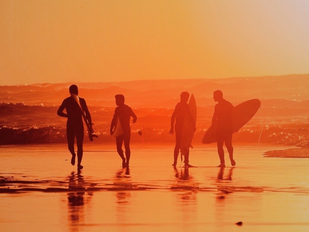 Серфингисты обои