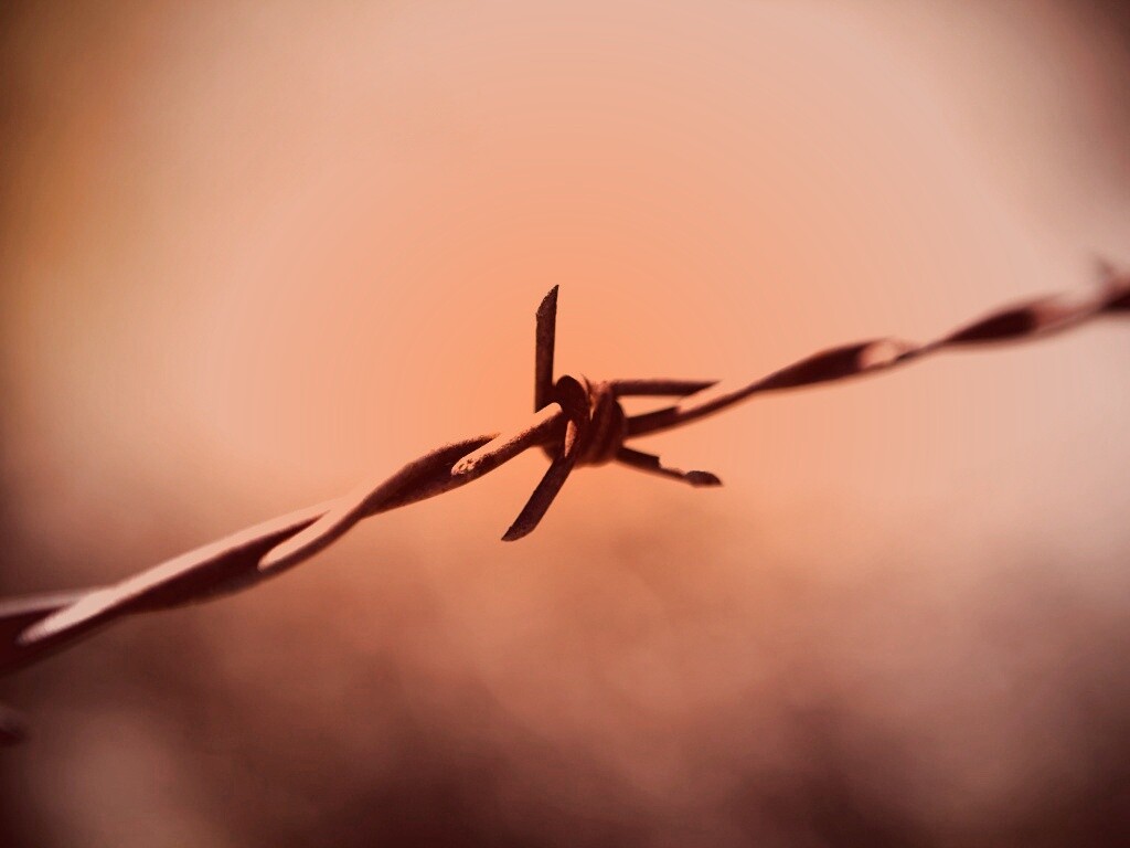 Фото колючей проволоки обои