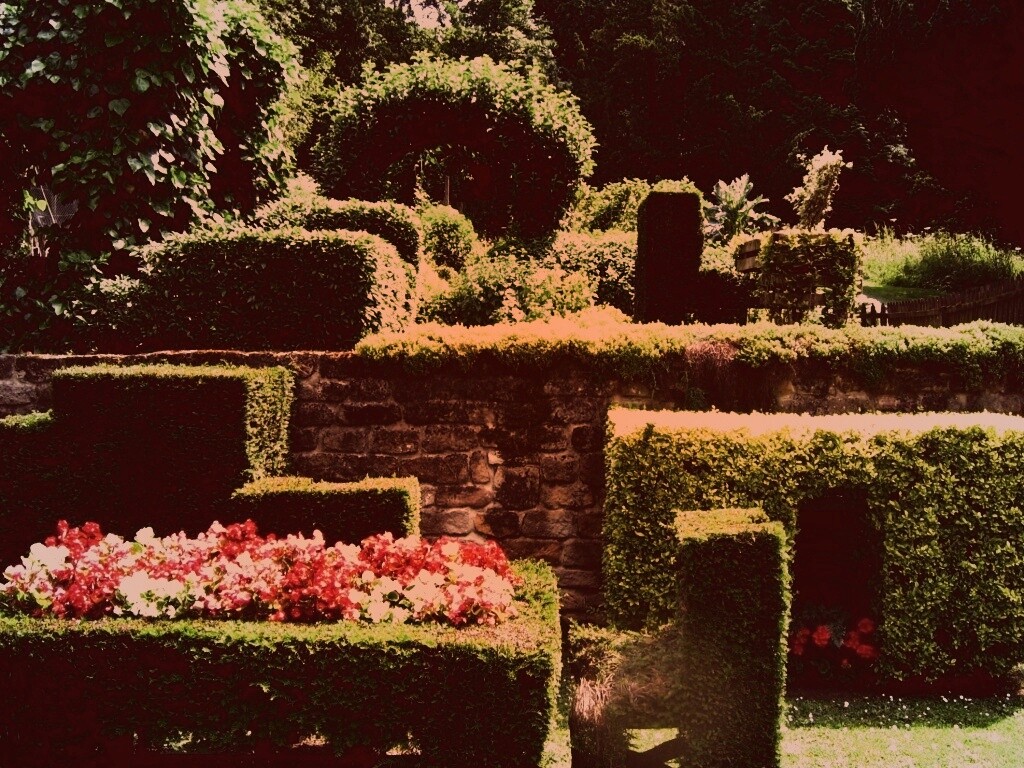 Декоративный сад обои