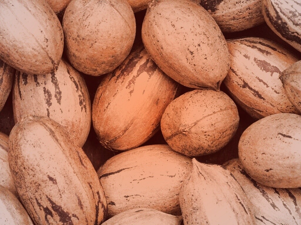 Грецкие орехи обои