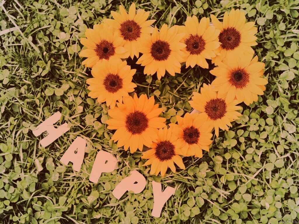 Радость обои