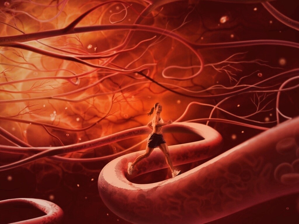 Бег крови обои