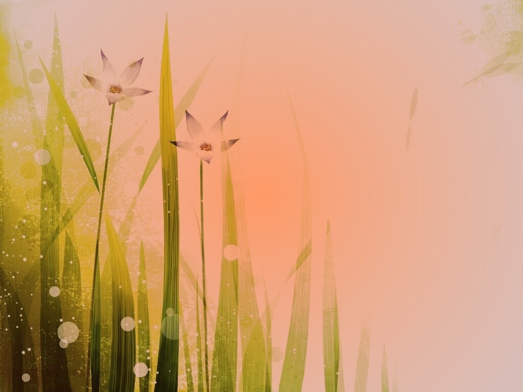 Векторные цветы обои