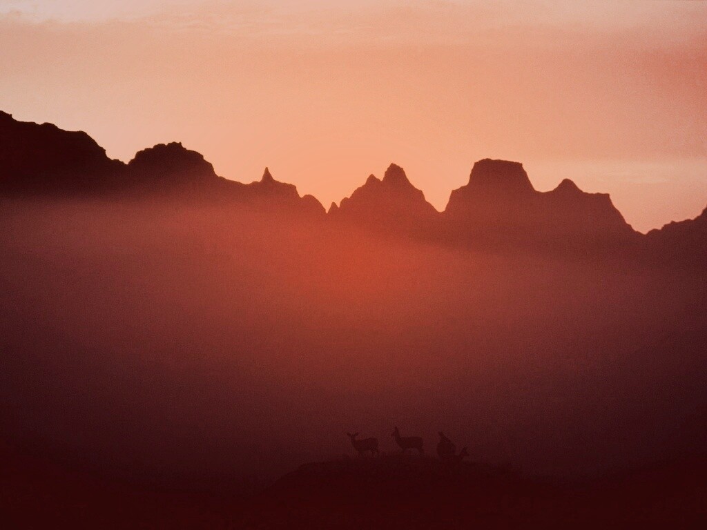 Вечер в национальном парке обои