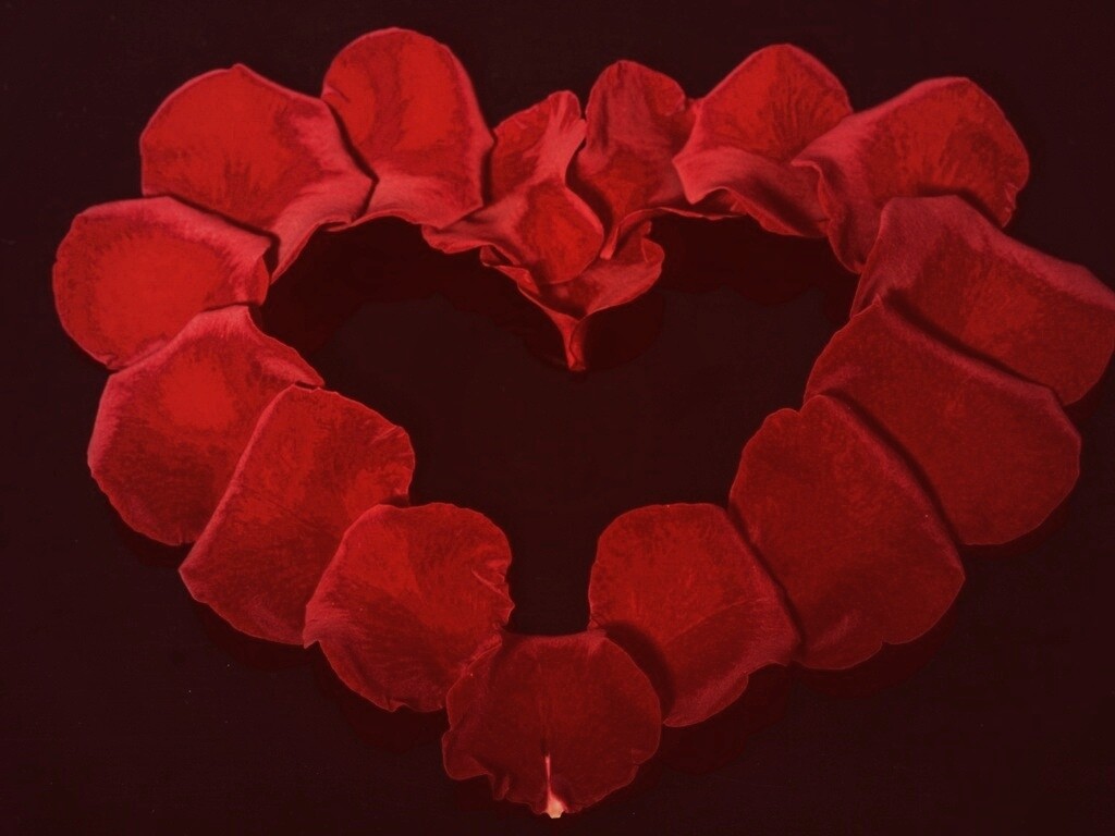 Красивое сердце обои