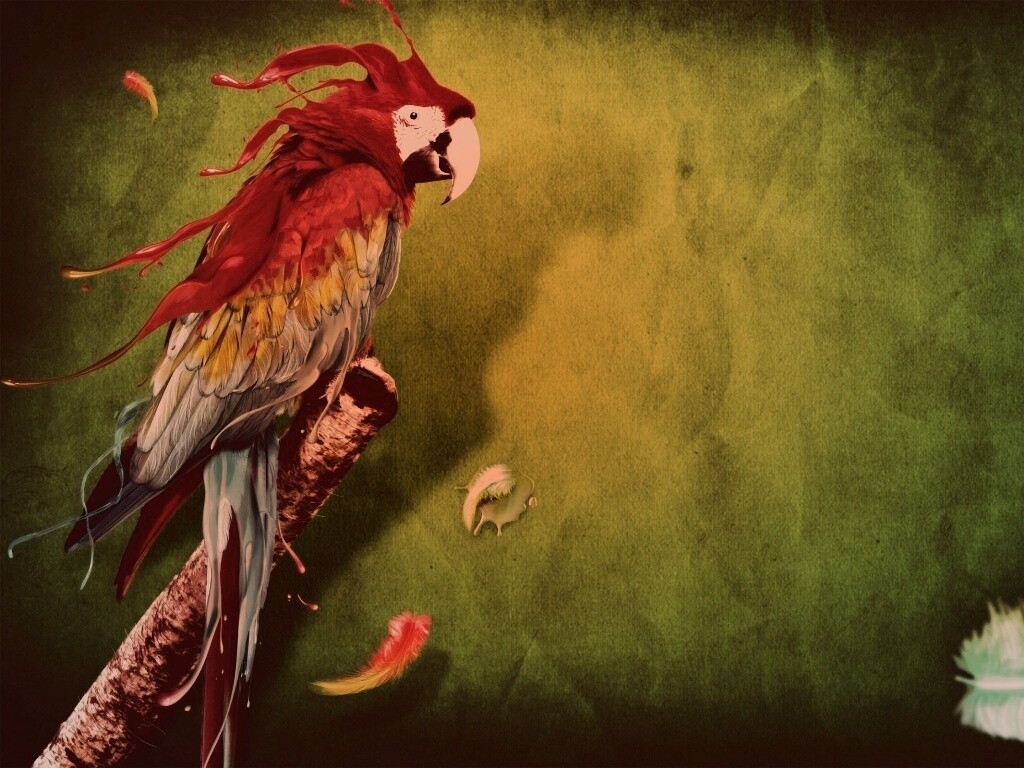 Попугай на ветке обои