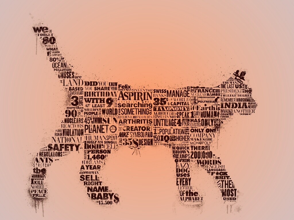 Кот - газета обои