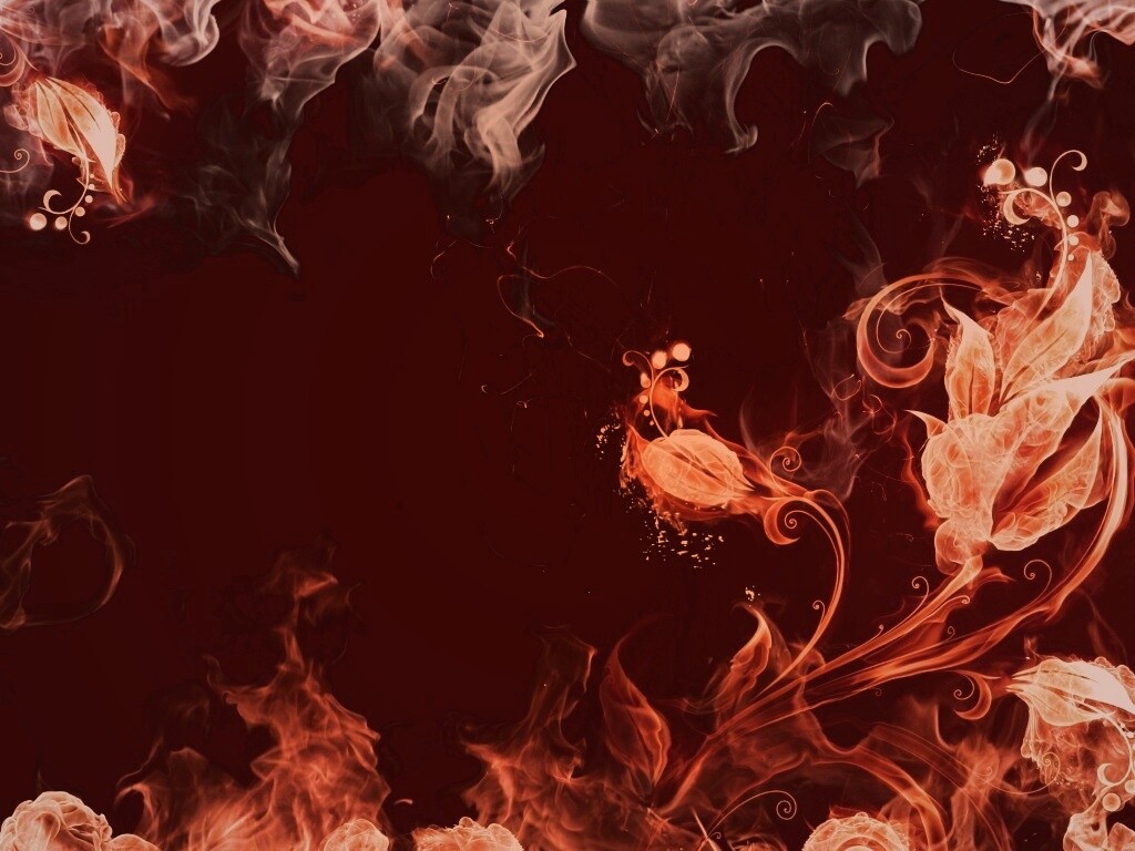 Огненные цветы обои