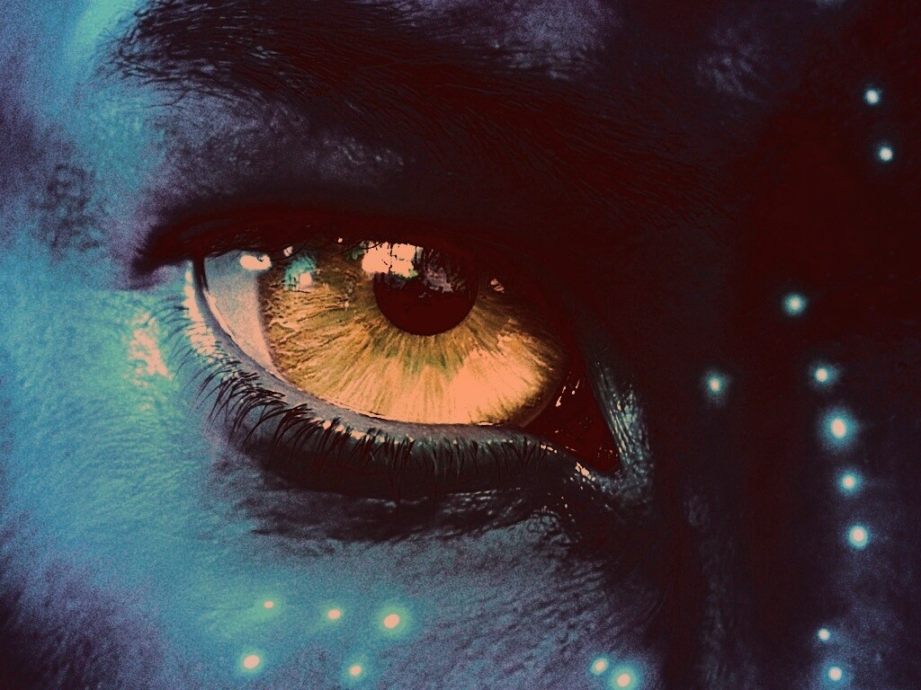 Смотрит прямо в душу обои