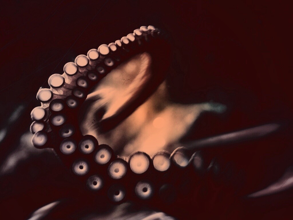 Щупальце обои