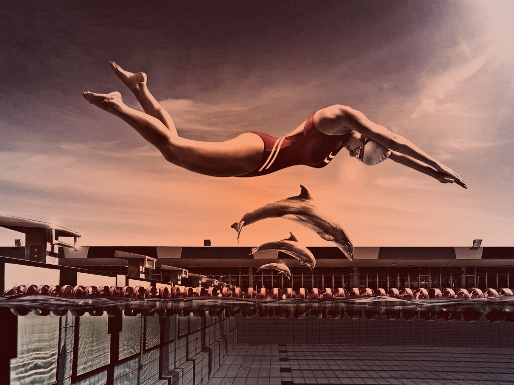 Соревнование обои