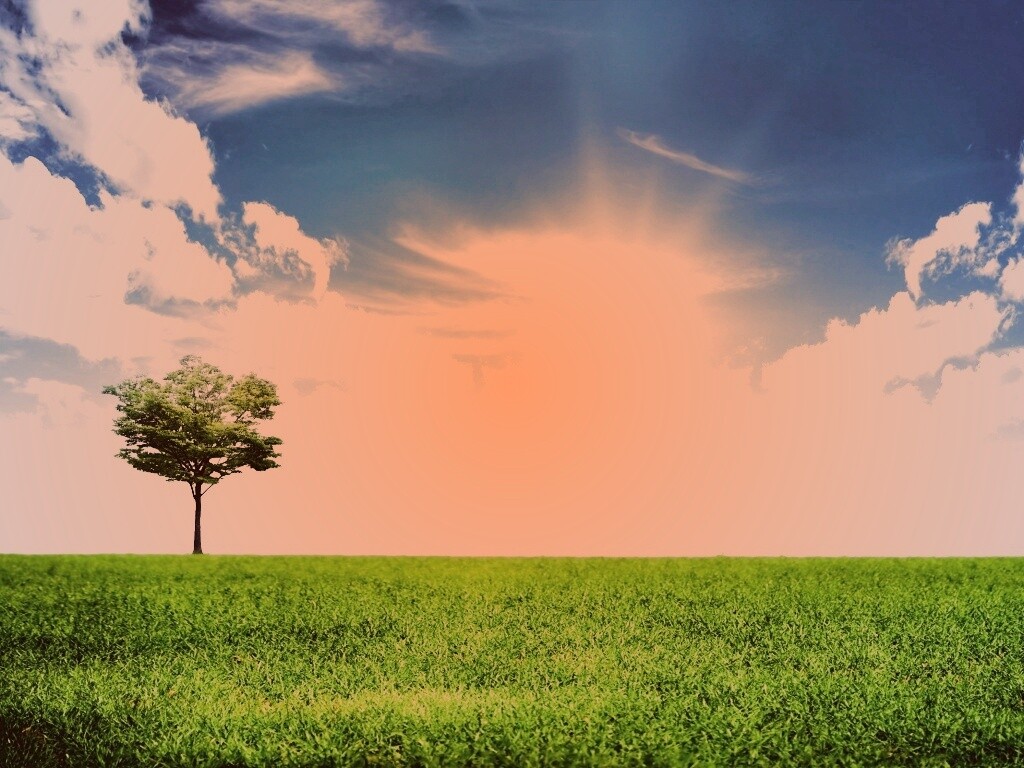 Один в целом мире обои