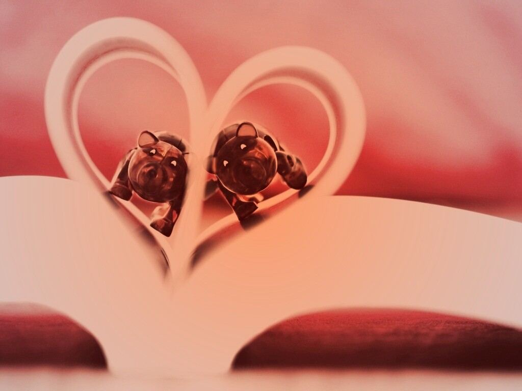 Фигурки мишек в книге обои