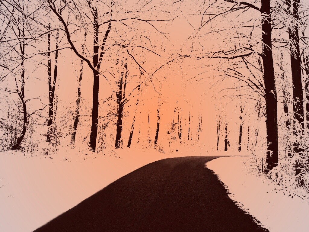 Дорога в зимнем лесу обои