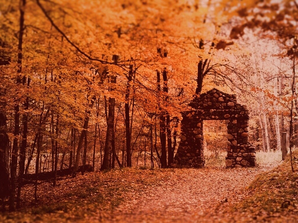 Каменная арка в осеннем лесу обои