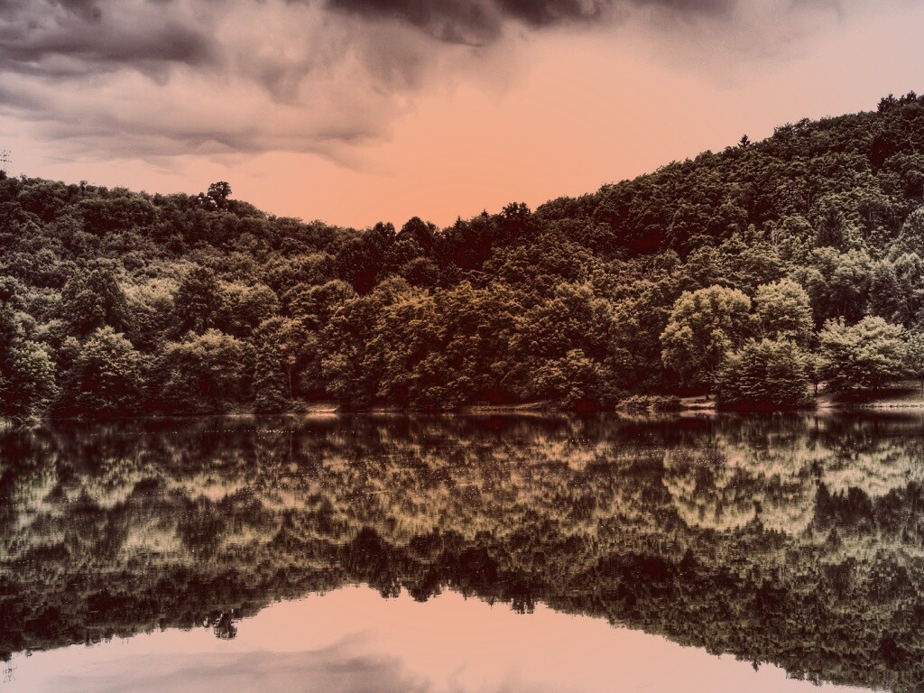 Лесной берег обои