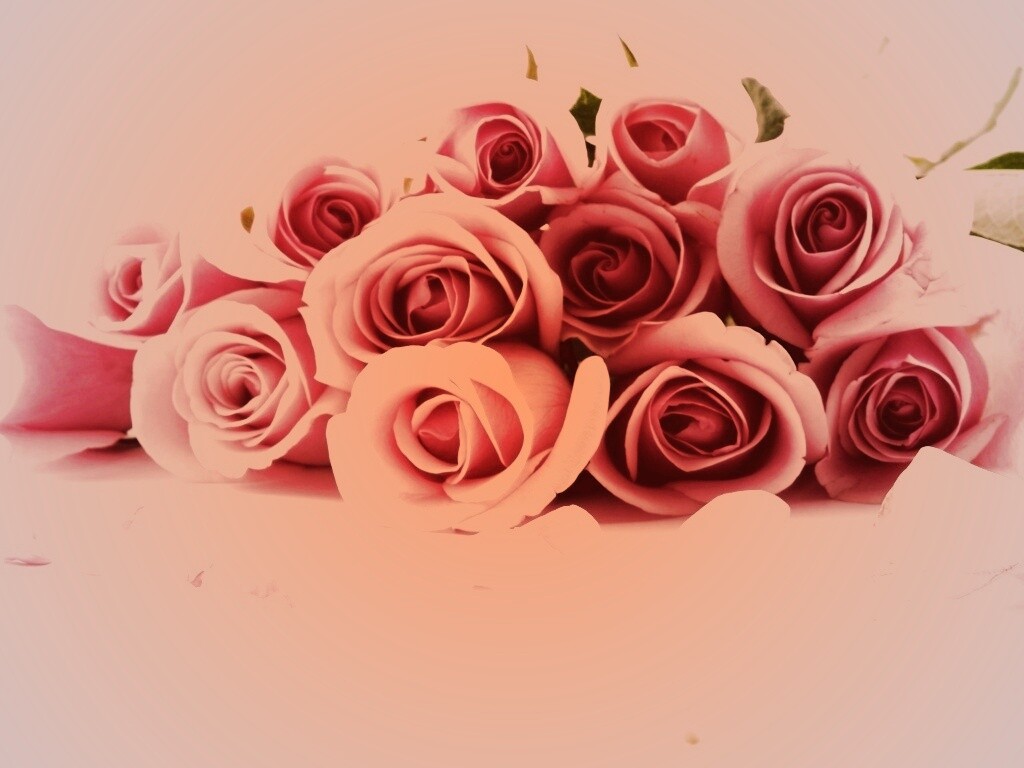 Букет роз обои