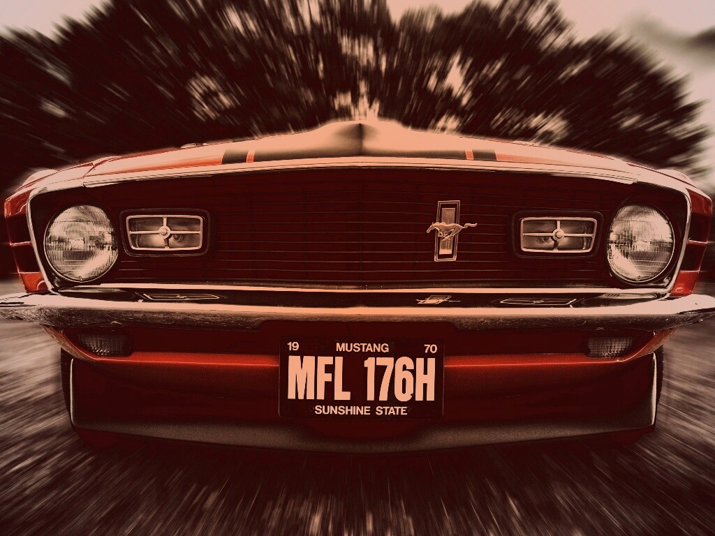 Мустанг обои