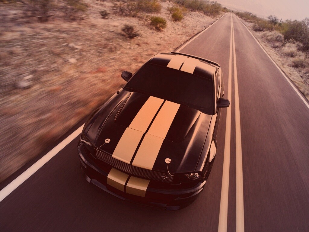Ford Mustang  с гоночными полосками обои