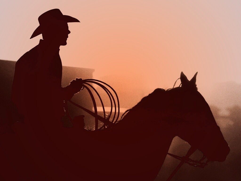 Ковбой с лассо на коне обои