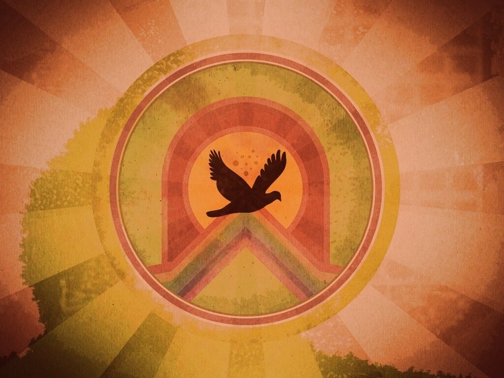 Голубь мира обои