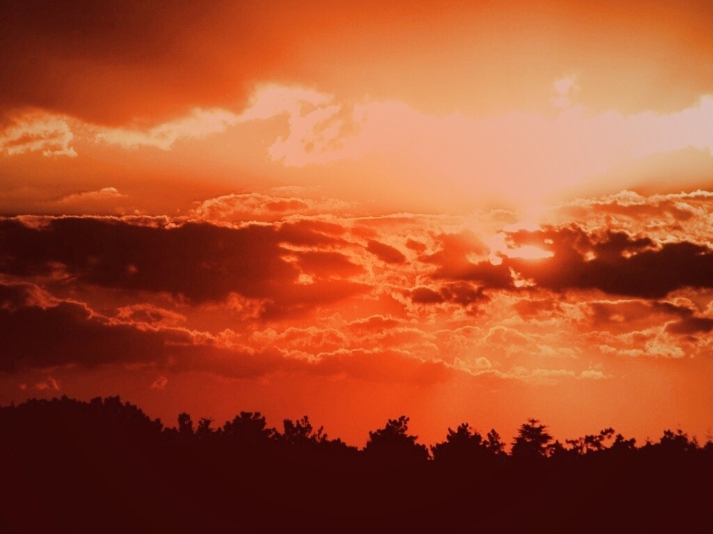 Ярко-оранжевое закатное небо обои