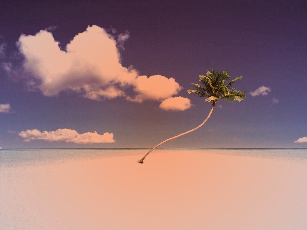 Идеальный пальмовый остров обои