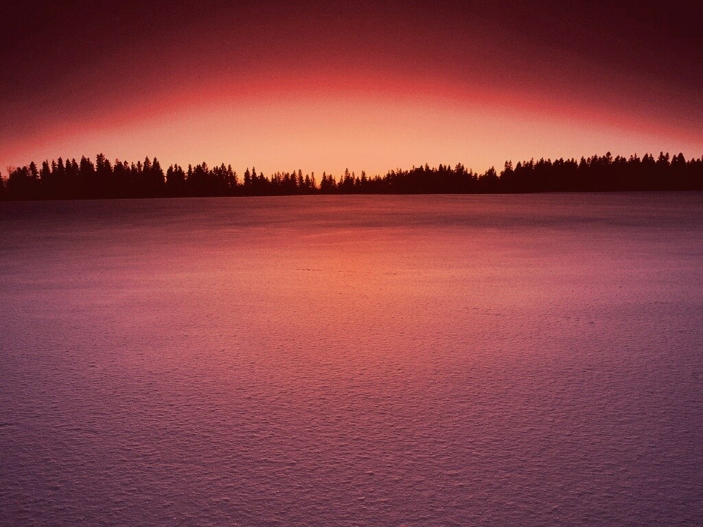 Восход над заснеженным лесом обои