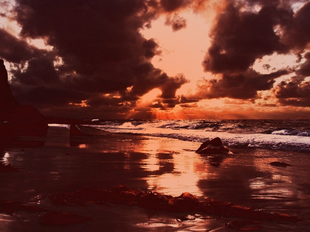 Океанский берег на закате обои