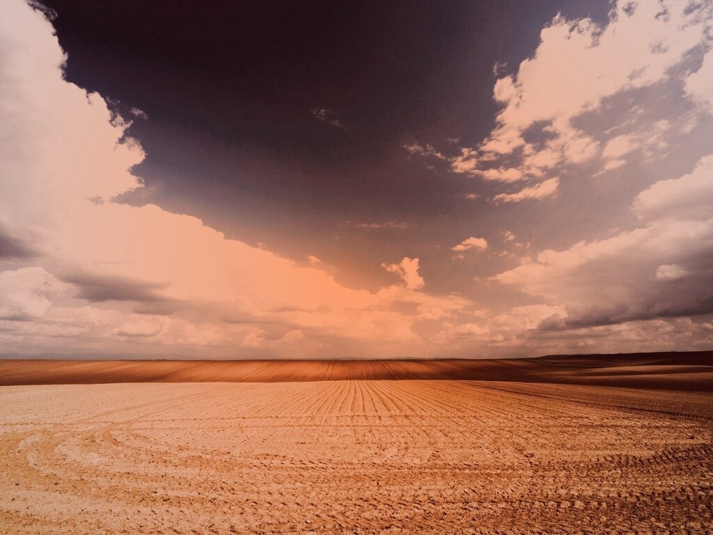 Незасеянное поле обои