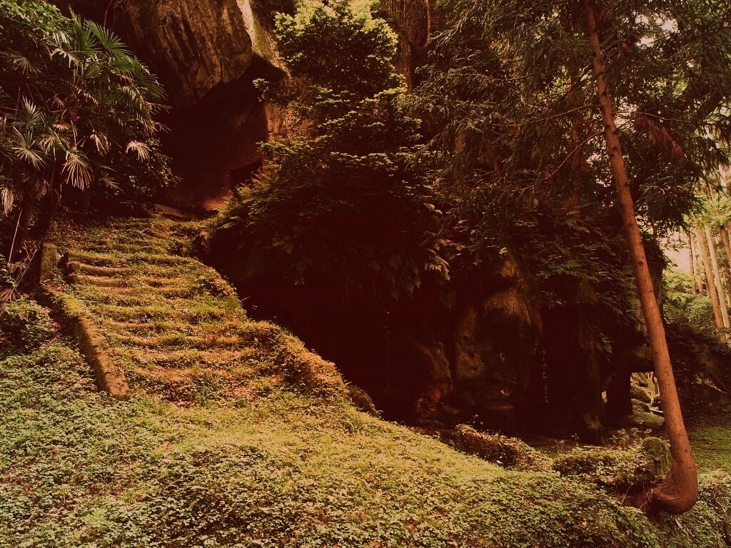 Старинный лесной храм обои