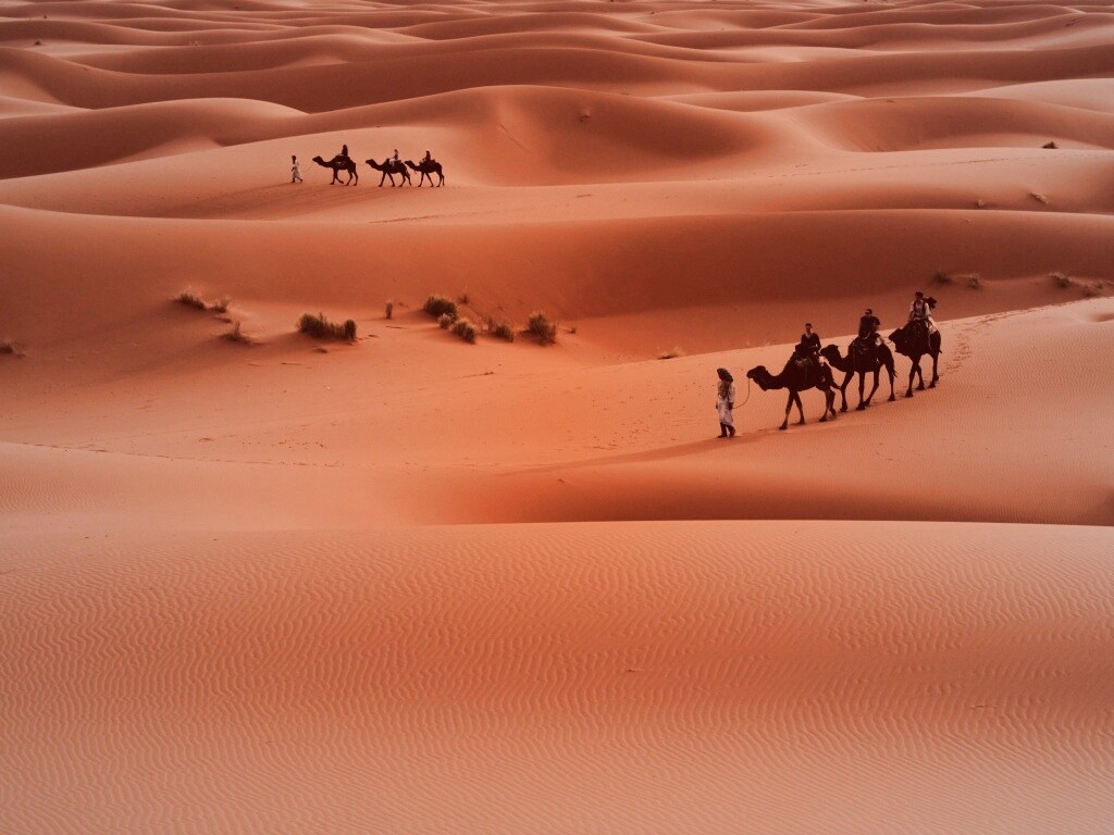 Караваны пустыни обои
