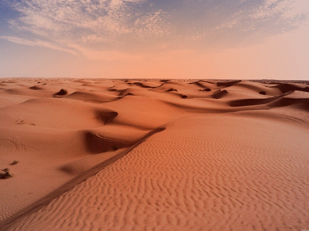 Пустыня до самого горизонта обои